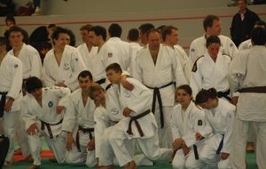 Kata.jpg