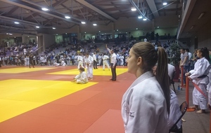 562e10777cc70_DSC0489.JPG