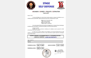 565ebe94dcda2_Stage19dcembre.jpg