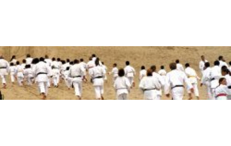 On rentre ... au JUDO !!!