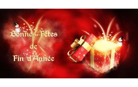 Bonnes Fêtes !!